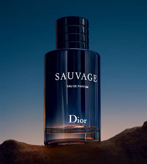 agua de dior|sauvage Dior cologne reviews.